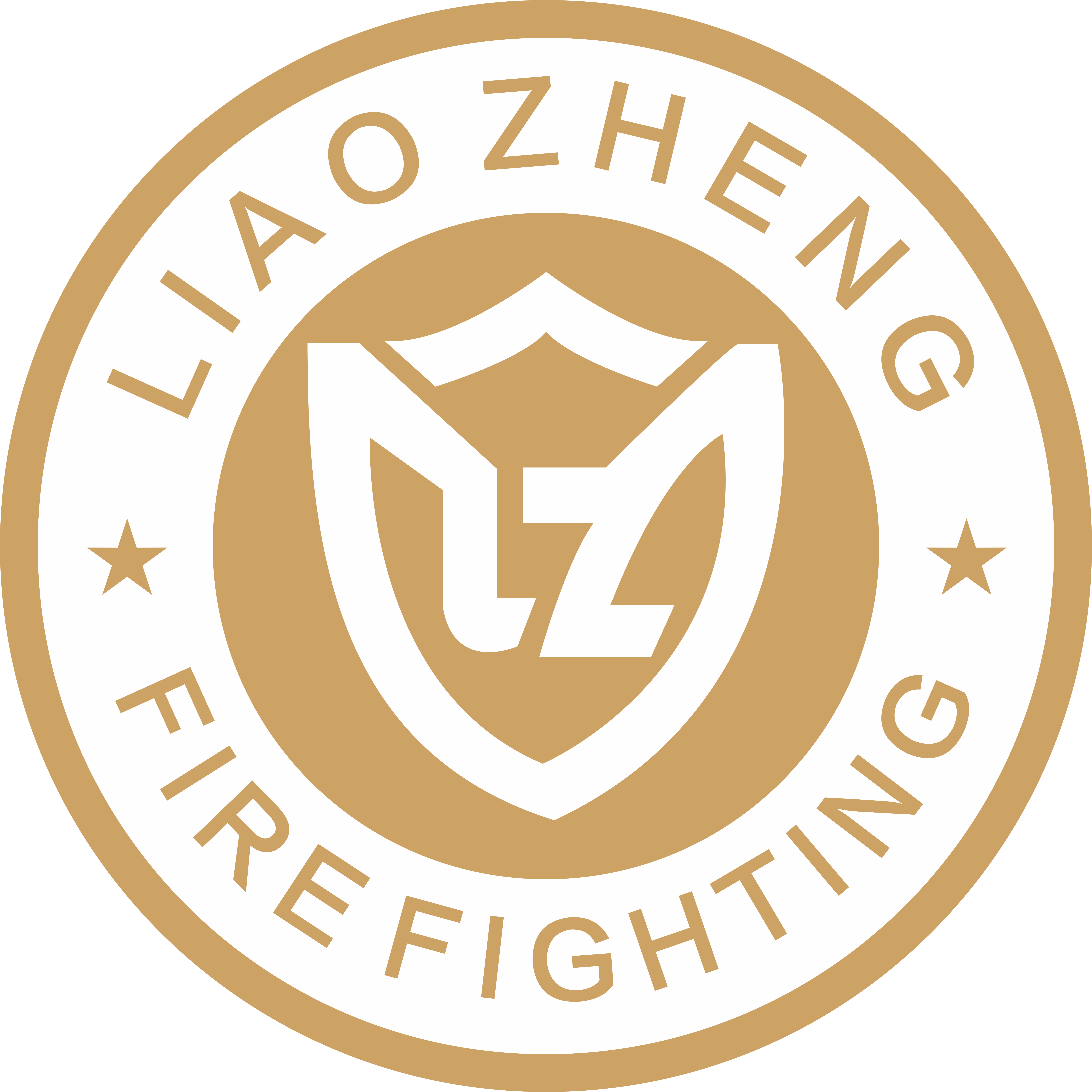 沈阳辽正消防